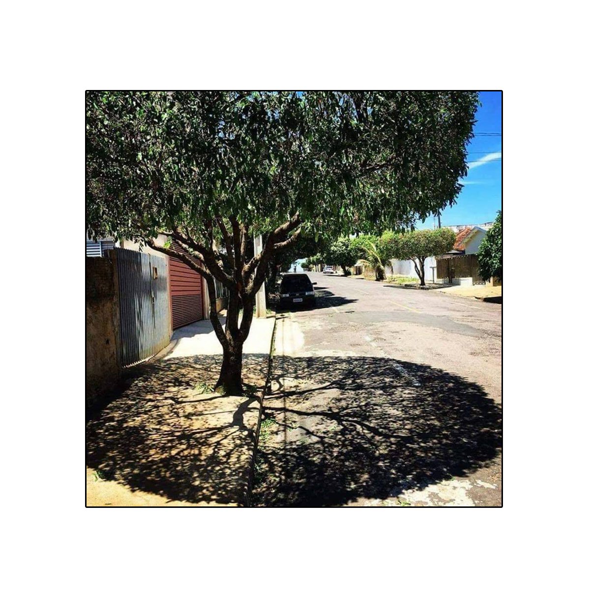 Kendisi "gerçek sanat" olanın, gölgesi bile sanat oluyor.
“Doğa dilsiz değildir. İnsandır sağır olan…”