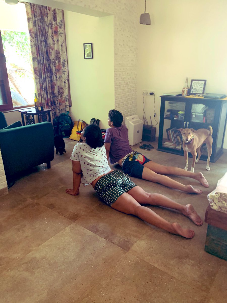 strayatheart's tweet photo. So yesterday we shared Nimboos moves - but here’s Tequila the supervisor - very involved in our yoga routine. What do your pets do when you exercise at home? #dogsoftwitter #lifewithdogs #indogs https://t.co/s7sifKuSxS