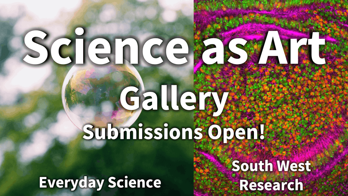 Exeter Science Centre tweet media