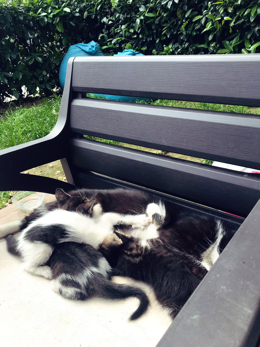 Alın size normalleşme.Moral motivasyonum tavan.