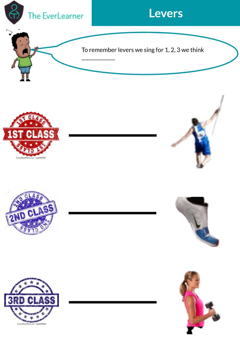 JFKpedept's tweet photo. Year 10 GCSE PE
Please check @The_EverLearner and Google Classroom.
✍️ Notes on the new topic
👩‍💻 Use practice questions then test yourself on the cardiovascular system
#Levers #MechanicalAdvantage #CVSystem https://t.co/fq1b8apjCz