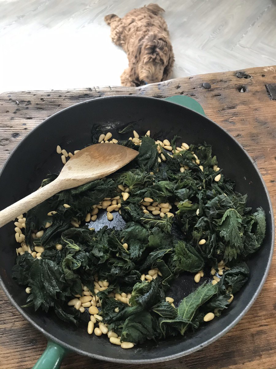 Niccampbe's tweet photo. We picked nettles yesterday and made nettle pesto @ardeleyschool https://t.co/5RDSL9HiJj