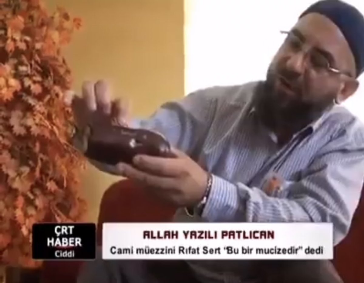 lozen_ann's tweet photo. Tanrının kararsız anları..
İki tarafı da kaybetmek istemiyor uyanık :) https://t.co/cBSFkEOwPw