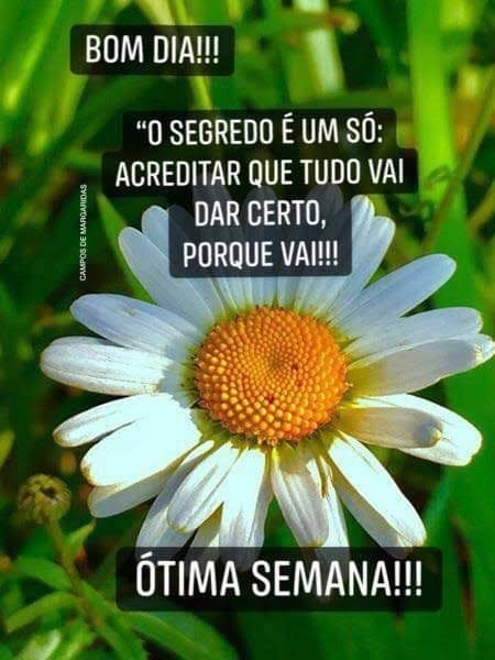 🇧🇷 𝙂𝙞𝙡𝙗𝙚𝙧𝙩𝙤 🇧🇷🇧🇷 on Twitter: 🇧🇷 𝙂𝙞𝙡𝙗𝙚𝙧𝙩𝙤 🇧🇷🇧🇷 on Twitter: