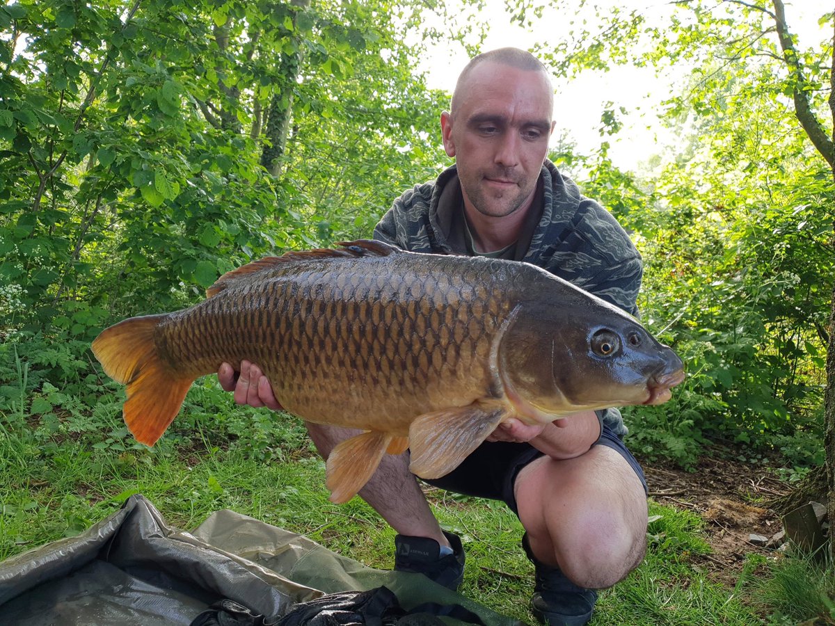 WBMCarpFishing's tweet photo. Hope it won’t be long until I’m holding one of these again! I feel like a child in that excited about Wednesday!
#carp #commoncarp #whenwefishagain https://t.co/XFbFfHXKXK