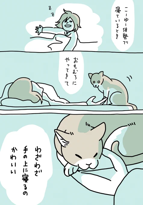 ただ、ねこが可愛いというお話。

#猫がいるしあわせ  #猫とテレワーク  #コロナに負けるな 