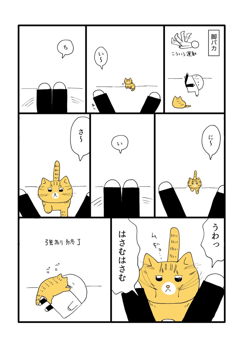 筋トレむずかしいです 