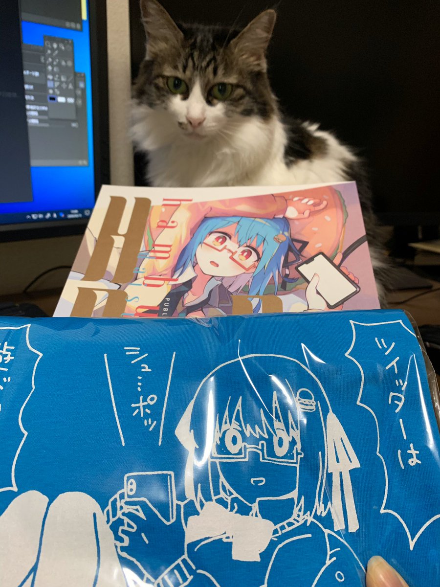 これは映え写真が撮れない飼い主を見てる猫写真と合同誌一等可愛い?ちゃん画像とハンバーガーちゃんに1番伝わって欲しいピクチャ 