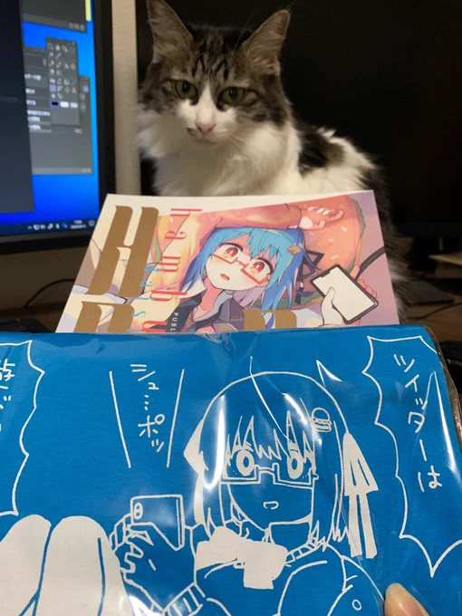これは映え写真が撮れない飼い主を見てる猫写真と合同誌一等可愛い?ちゃん画像とハンバーガーちゃんに1番伝わって欲しいピクチャ 