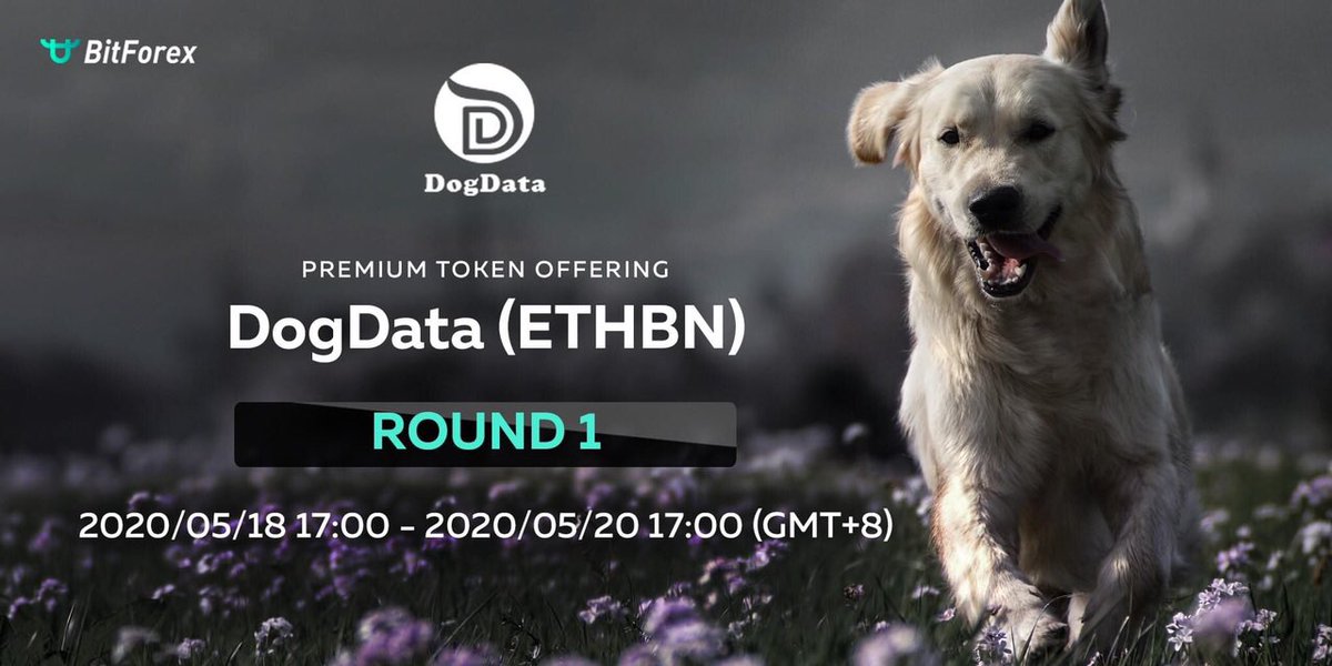 nft_shibnft's tweet image. 📢🤩New premium #tokenoffering on #BitForex Meet #DogData (ETHBN).

👉 instagram.com/p/B_7ChvogctX/…
⠀
The details are below!
⠀
⚡️Subscription time: Round 1: 2020/05/18 17:00 - 2020/05/20 17:00 (GMT+8)
⠀
See more at support.bitforex.com/hc/en-us/artic……

➡️ # Register at bit.ly/2uDhEmG