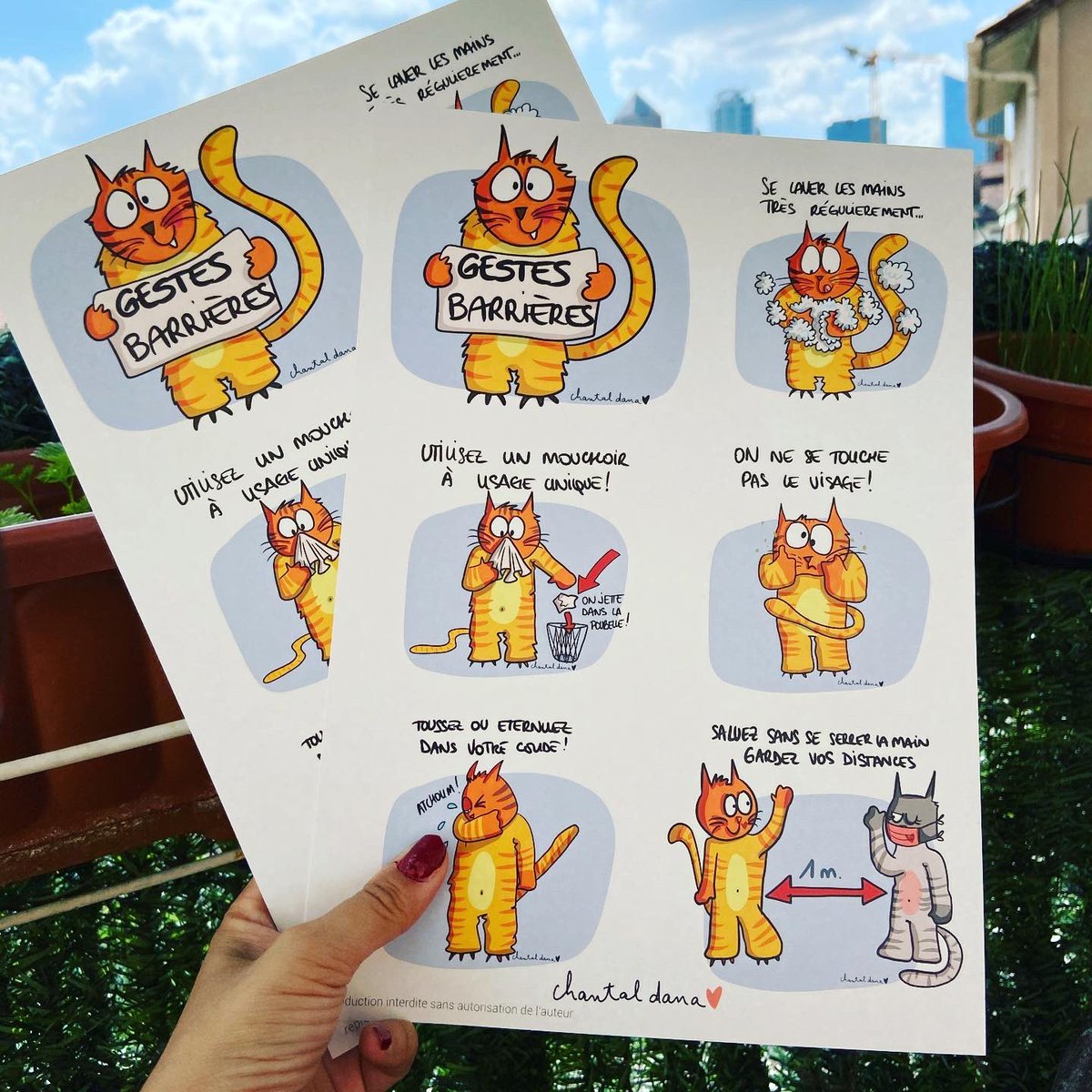 Les fameux gestes barrières que tout le monde doit respecter...
Et c’est un chat qui vous explique comment faire... ils partent aujourd’hui !! Si vous voulez le votre 10€ l’affiche 5€ la supp et 3€ de frais de port
#gestesbarrieres #COVIDー19