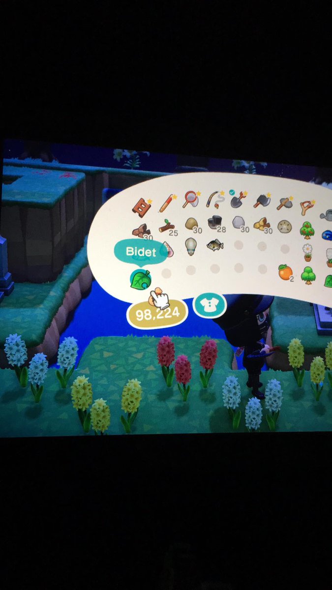 pocketmika's tweet photo. Was talking about how I wanted a bidet irl and I randomly popped a balloon with this in it...

WHATCHU DOIN’, ACNH?!
#AnimalCrossingNewHorizions https://t.co/zljsmr9p8u