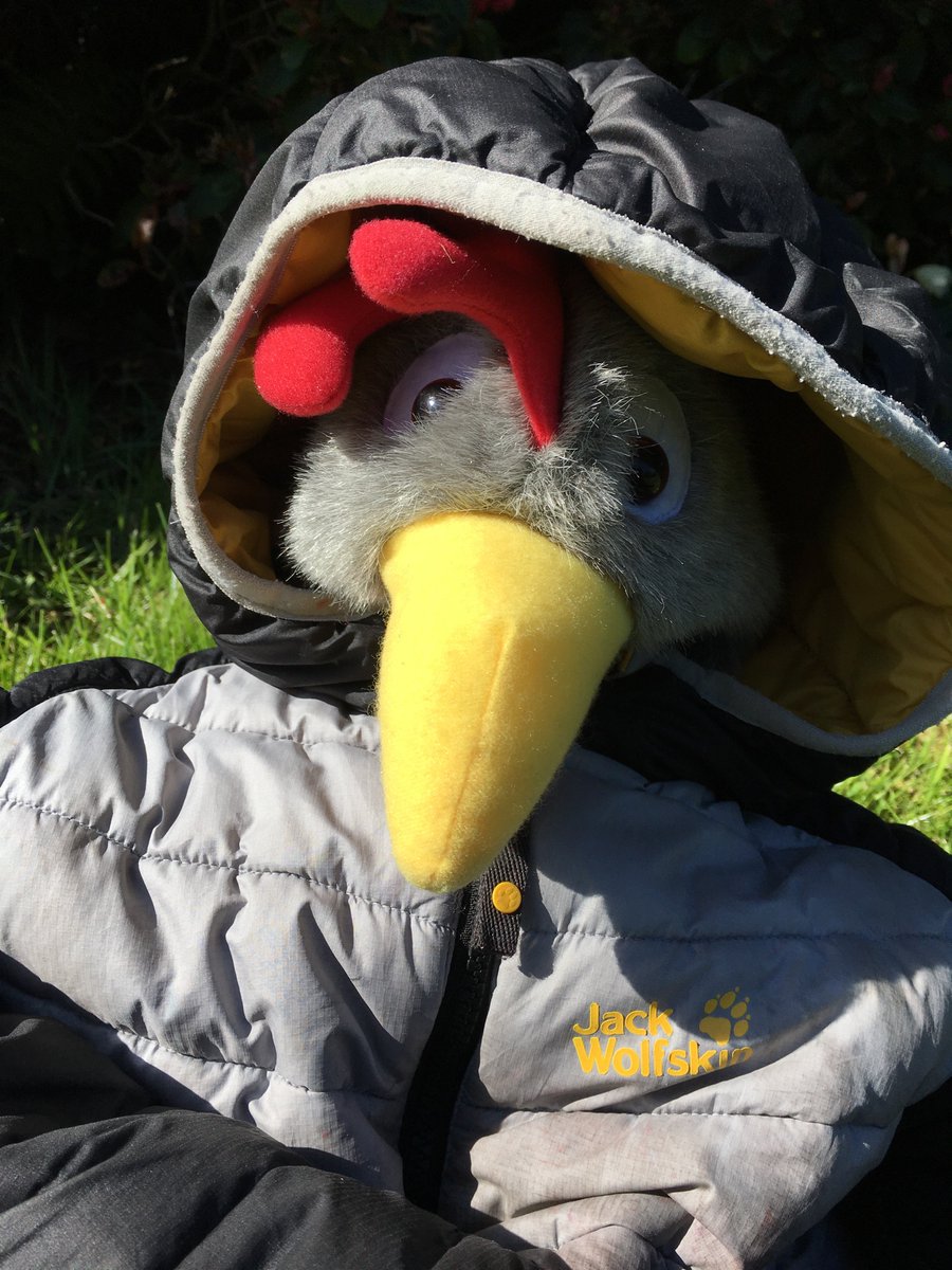 CorntonS's tweet photo. Good morning folks. I’m just out for my walk and it’s sunny but chilly. Here’s a wee challenge for football fans... Who will you put in your 5 a side  isolation team? 🌈🐓 ⚽️ #OurCornton #CorntonKen #KenCornton https://t.co/qBhLgczNR3