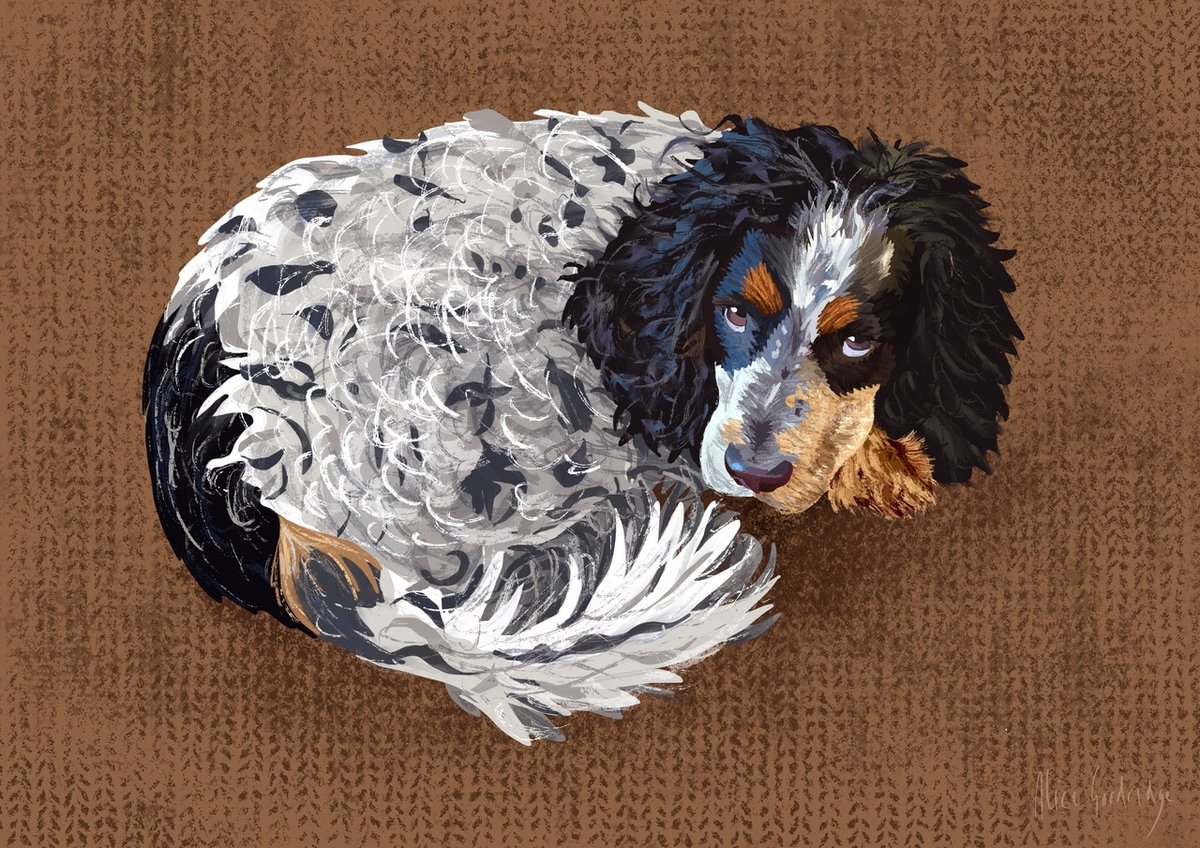 Alice Goodridge Illustration tweet media