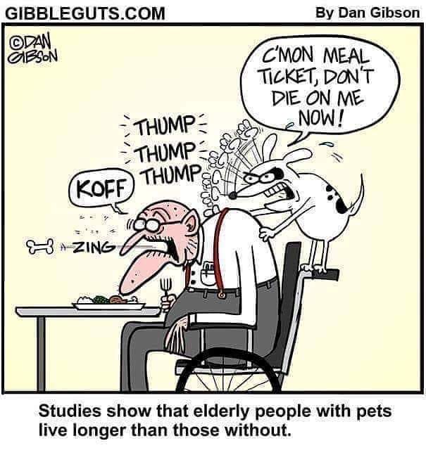 TheMonster (@themonsterpug) on Twitter photo 