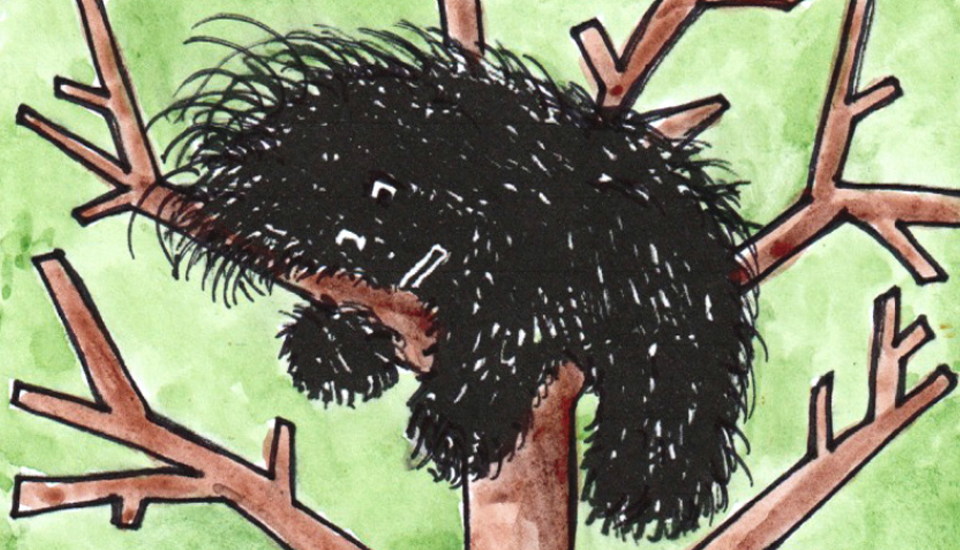 iamsquarehead's tweet image. We've cooked up another free bedtime story to help soothe your little ones to sleep this evening.  There is the usual downloadable pdf and a wonderful audio track read by Chris Mousicos! Enjoy and please share.
iamsquarehead.com/2020/05/11/hel…