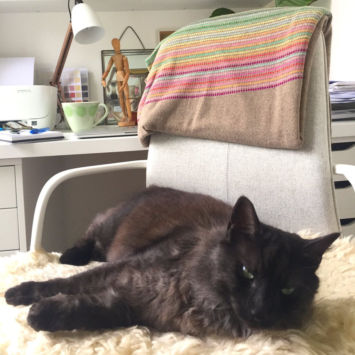 Um, excuse me - I'd quite like to sit at my desk and get some work done... No? You don't want to move? Oh, okay then...