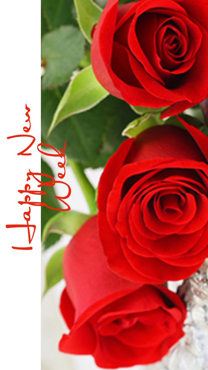 rosmarie1291 tweet media