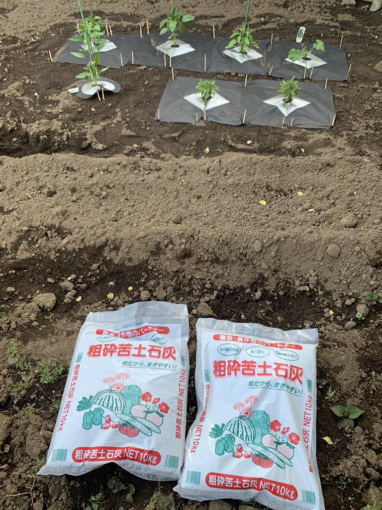 真 三代目桶屋三助 今日のお仕事は家庭菜園作り ニラを追加しようと思い まずは土壌作りを Amazonで頼んだ苦土石灰が熊本から届きました 最近 Amazonで買うものは家庭菜園のモノばかりの三助です ソープ 風俗 家庭菜園 T Co 5ec6hvvjg6