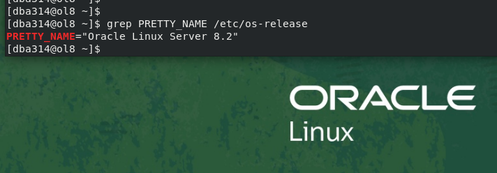 Alexander Pilfusek tweet media