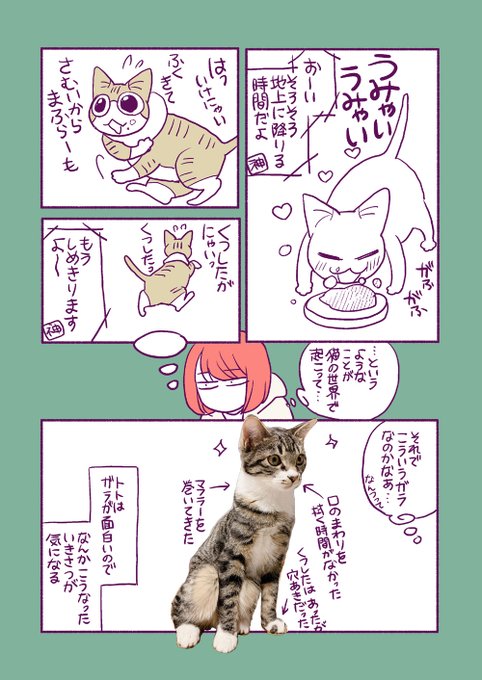 猫のガラのひみつ 