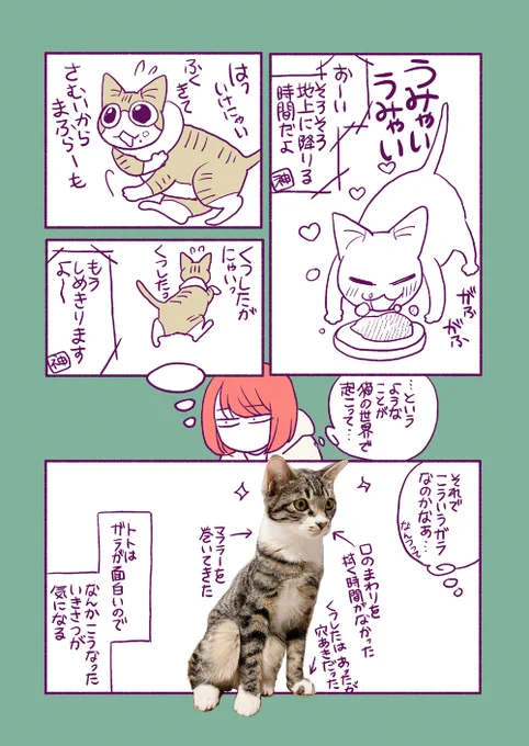 猫のガラのひみつ 