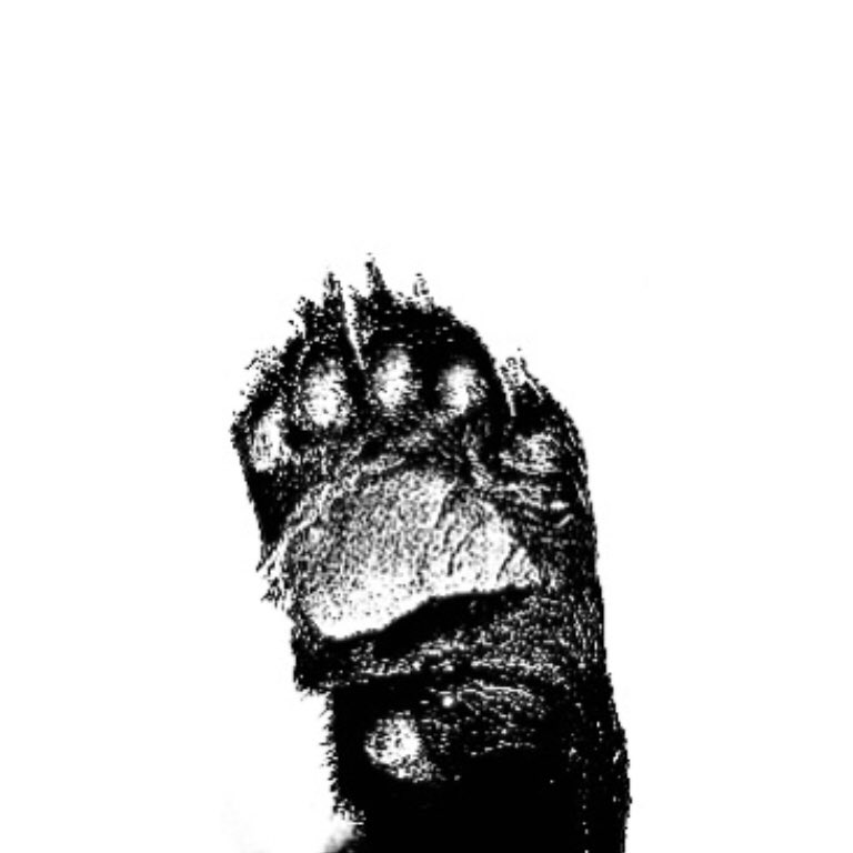 🦴 *

   แม็คดีพ  、 จอห์นนี่ ( 𝓙ohnny 𝓼uh ) 95 ‘𝖘  ˙   𓈒  ตามทัก  .  แลกฟอล 𝖏ust 𝖗𝖙

  .  ยพท. ลฟตท ©️