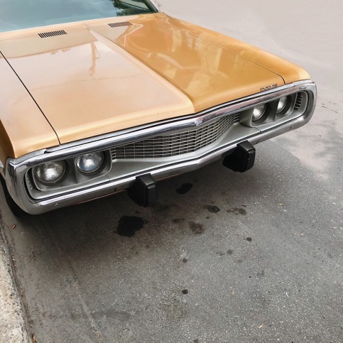 𝘢𝘳𝘵𝘺𝘱𝘪𝘤𝘵𝘶𝘳𝘦 (@artypicture) on Twitter photo 