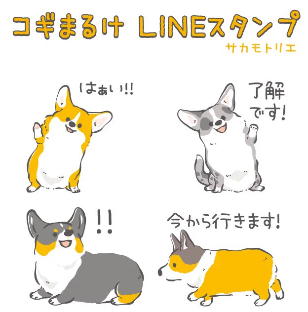 コーギーのラインスタンプ「コギまるけ」承認されました!5月13日(水)19時頃販売予定ですたくさんの方に使っていただけると嬉しいです? (現在は表示されません) 