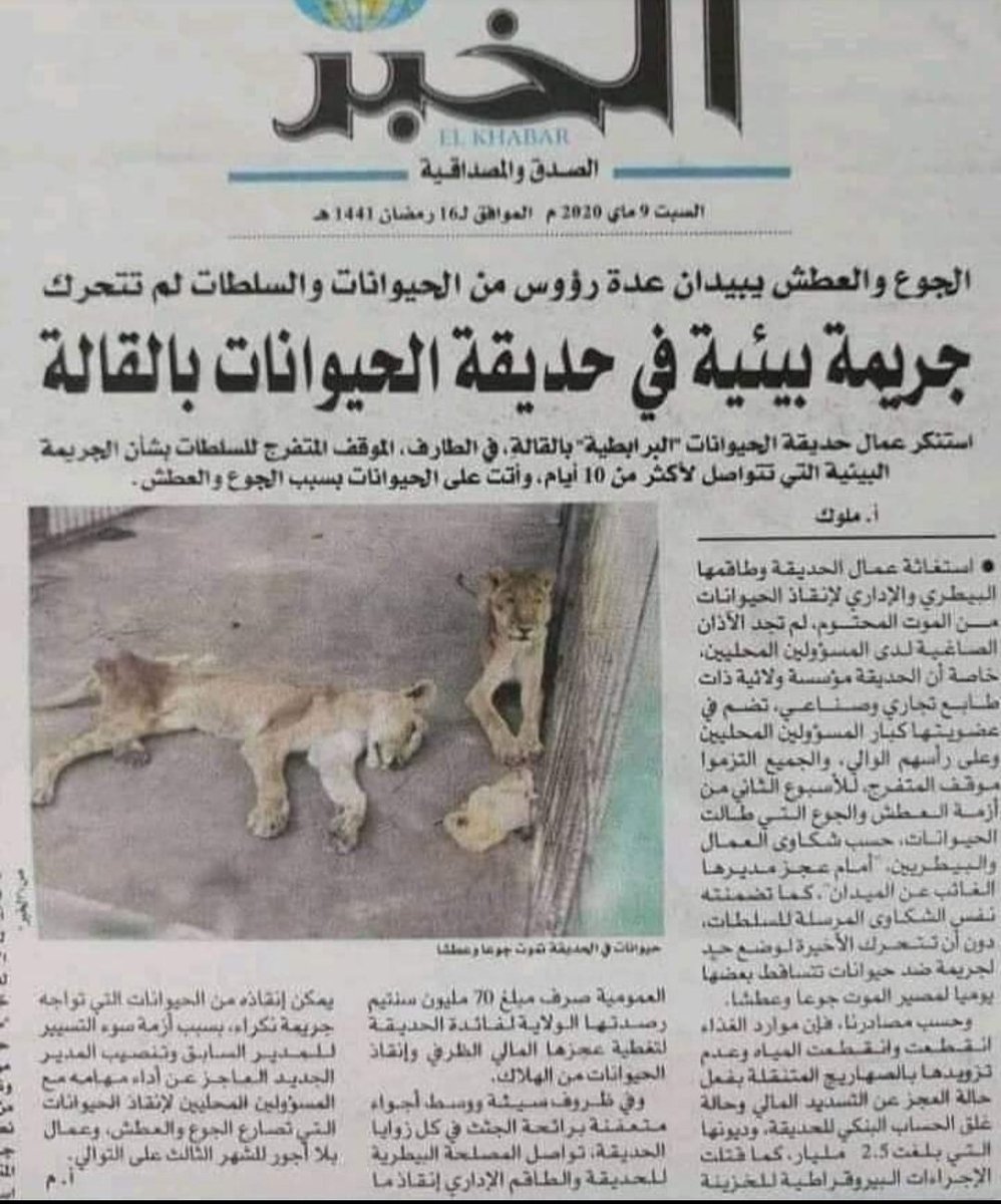 meroua_miro's tweet photo. حتى الحيوانات ومسلكتش من نظام الفاسد 😢😢 وعلاش ميتلقوهمش يروحو يرعاو وحدهم كيماشيء قادرين على شقاهم هكا حسبي الله ونعم الوكيل فيكم https://t.co/tCEQgCjXBm