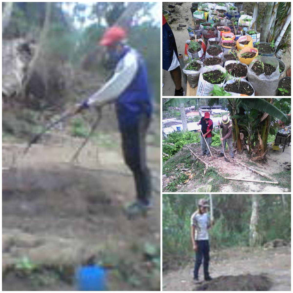 CarmenCarreroS's tweet photo. #6May Munic. Córdoba #Veracruz con 20 partíc. inició el 30/3/2020 Elaboración semilleros: pimentón, aji dulce, lechuga y cilantro (70horas) del curso "Básico de Hortalizas (273horas), MTV Alexis Medina y Lic Humberto Carrero adsc. #IncesTextilParamillo  #Tachira @WuikelmanAngel https://t.co/HuZ9qhK584
