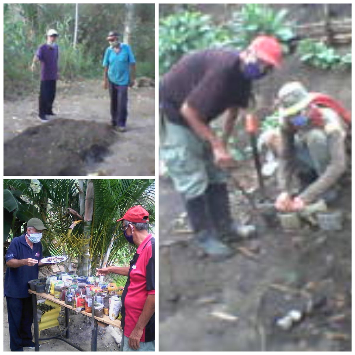 CarmenCarreroS's tweet photo. #6May Munic. Córdoba #Veracruz con 20 partíc. inició el 30/3/2020 Elaboración semilleros: pimentón, aji dulce, lechuga y cilantro (70horas) del curso "Básico de Hortalizas (273horas), MTV Alexis Medina y Lic Humberto Carrero adsc. #IncesTextilParamillo  #Tachira @WuikelmanAngel https://t.co/HuZ9qhK584