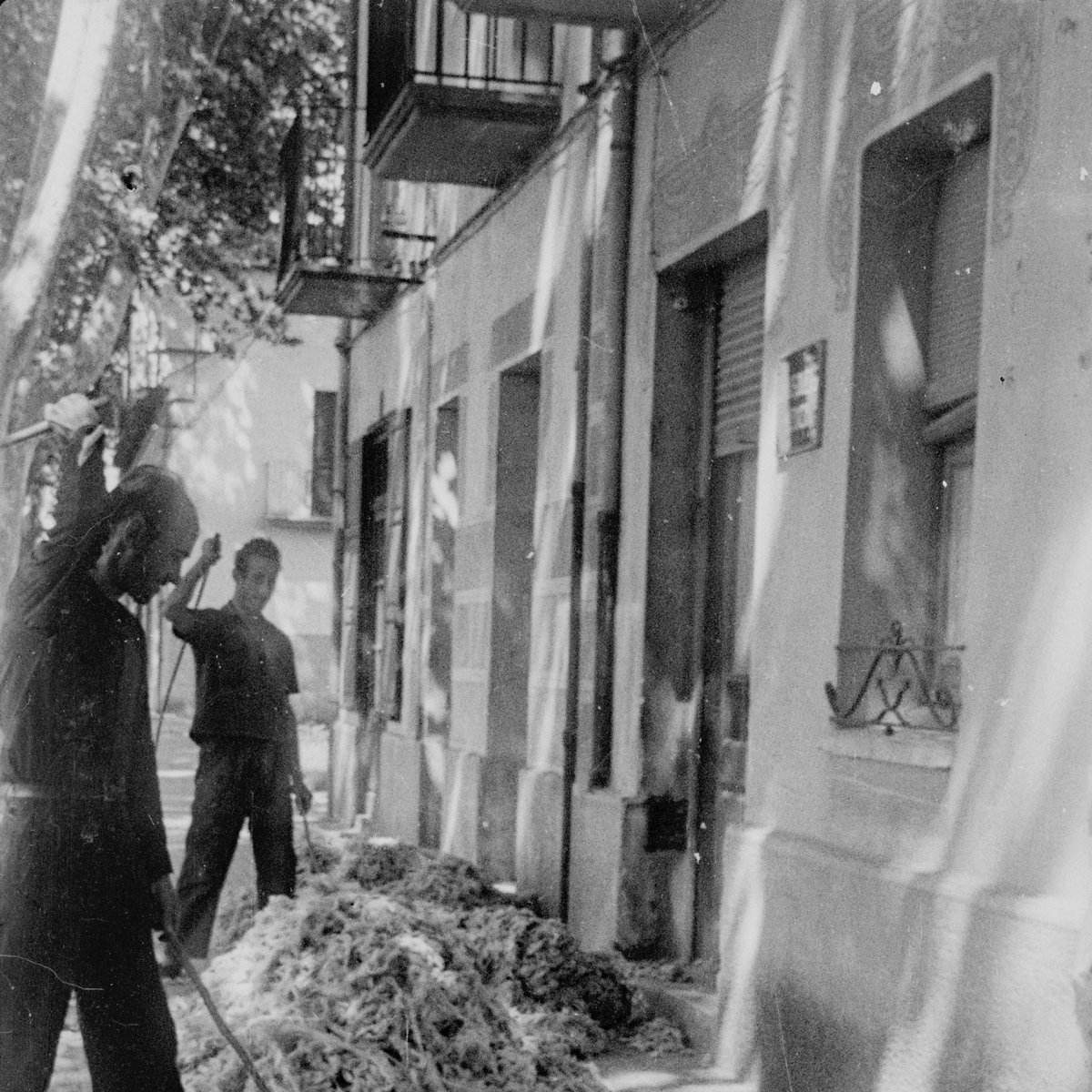 arxiu_gi's tweet photo. #Sabiesque quan els matalassos eren de llana, calia cridar el matalasser de tant en tant perquè eliminés la pols i els àcars del matalàs? El fotògraf Martí Massafont va captar l’any 1948 aquesta instantània d’uns matalassers fent volar la llana enmig del carrer #Oficisantics https://t.co/MpF7DFmpi5