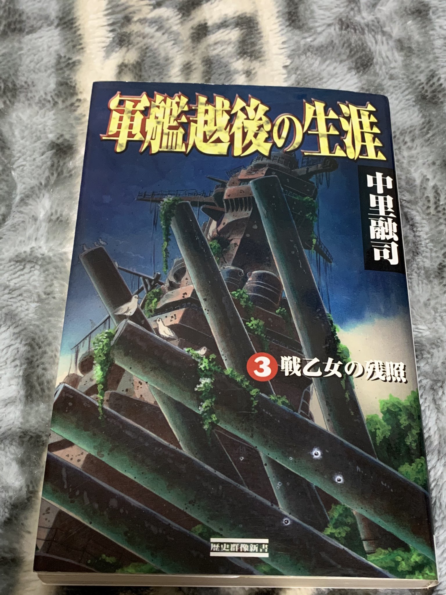 Tsu ファイザー2回接種済 菊水作戦 発動ス 鋼鉄の戦乙女 ワルキューレ 超戦艦 越後 姉妹艦 大和 瑞鶴 と共に沖縄へ 第二次太平洋戦争 いま最終最大の艦隊決戦 約1 250スケール 戦乙女の残照 昭和47年沖縄海岸 完成しました
