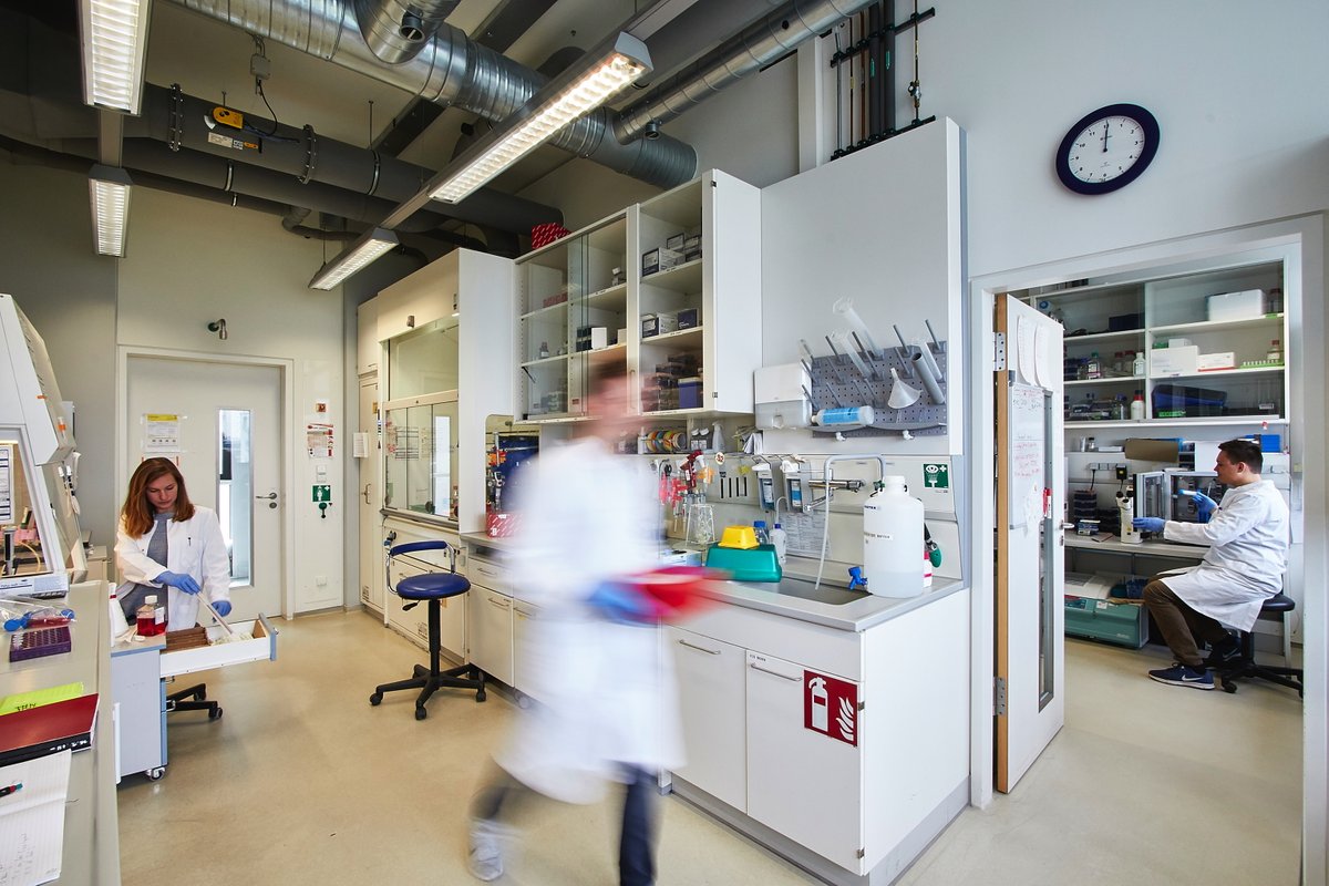 InstCardReg_FFM's tweet photo. Exciting news: The Institute of Cardiovascular Regeneration is featured in the European Heart Journal @ESC_Journals Learn more about our research and projects here ->
https://t.co/TNIAnemBzk #Dimmelerlab #Dimmeler_lab #Science @goetheuni https://t.co/e6XOZNPrGs