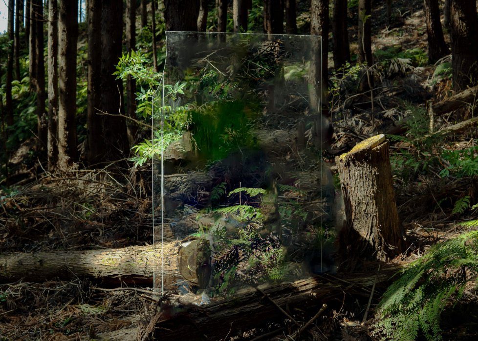 abbbccbd tweet picture