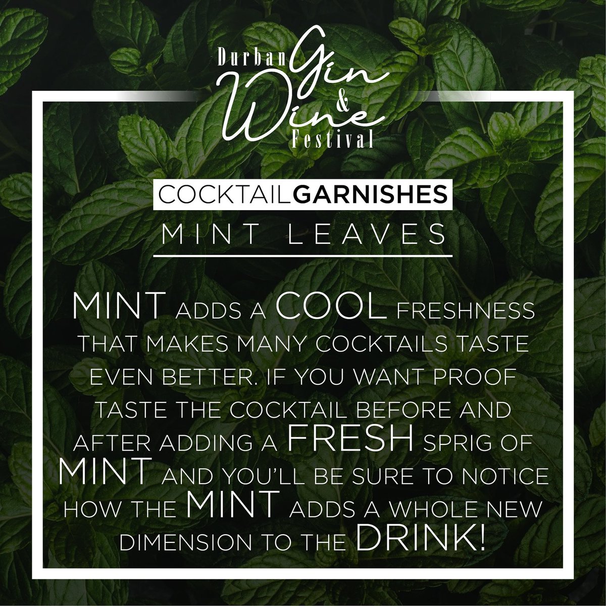 Durban Gin And Wine Festival tweet media