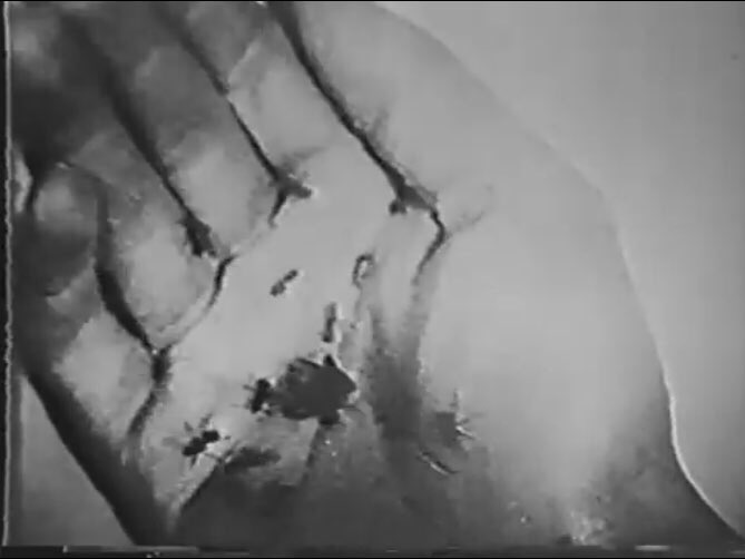 デヴィッド ボウイ 名言集 写真のポーズについて これを見て 僕が何のアルバム カバーのポーズをとってるか解らない人がいたら 僕は引退して 植木職人にでもなるよ ーこのポーズは 映画 アンダルシアの犬 でサルバドール ダリ扮する登場人物が