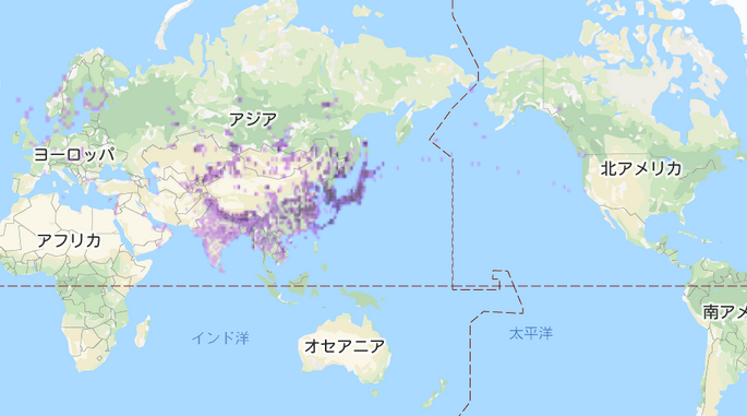 ekaminuma's tweet photo. 朝から子供は宿題で私は在宅仕事。ふと子供が「鳴き声がするけど、何の鳥？」と訊いてきます。天気が良いので、窓を開けていました。調べたらキジバトの鳴き声の様です。サントリー社「日本の鳥百科」鳴き声で探そう！サイトにお世話になりました。キジバトのeBird目撃地図を貼っておきます。#eBird https://t.co/aKVOCHqlaH