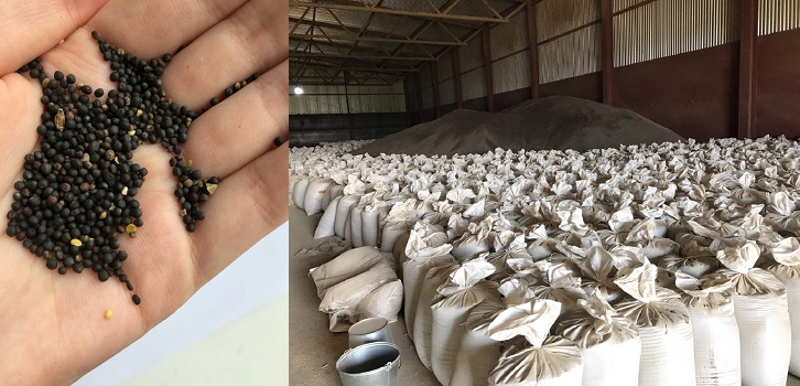 rtorussia's tweet photo. Prices of rapeseeds in China in May 2020. 
Available for sale: 6500 tons. 
MOQ: 1000 tons. 
On terms: DAP Erlianhoto, China 🇨🇳
https://t.co/Q1DeHbGtOg https://t.co/KWpY3Eu0jC