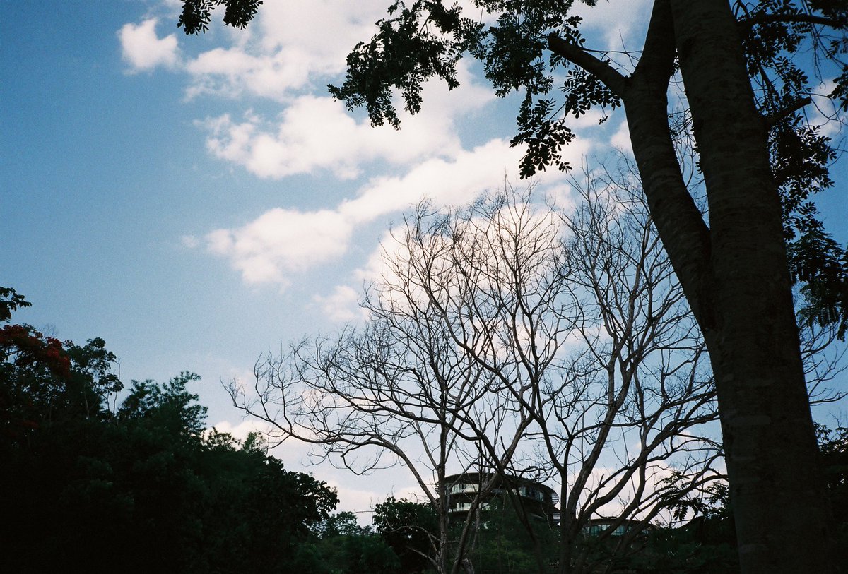 thecaptureth's tweet photo. รูปฟิล์มจากตอนที่ไปเที่ยวเขาใหญ่ 🍃 #film #filmphotography #35mm #FilmTwitter #film #khaoyai #รีวิวเขาใหญ่ #รีวิวที่พัก https://t.co/R7XKwt59eE