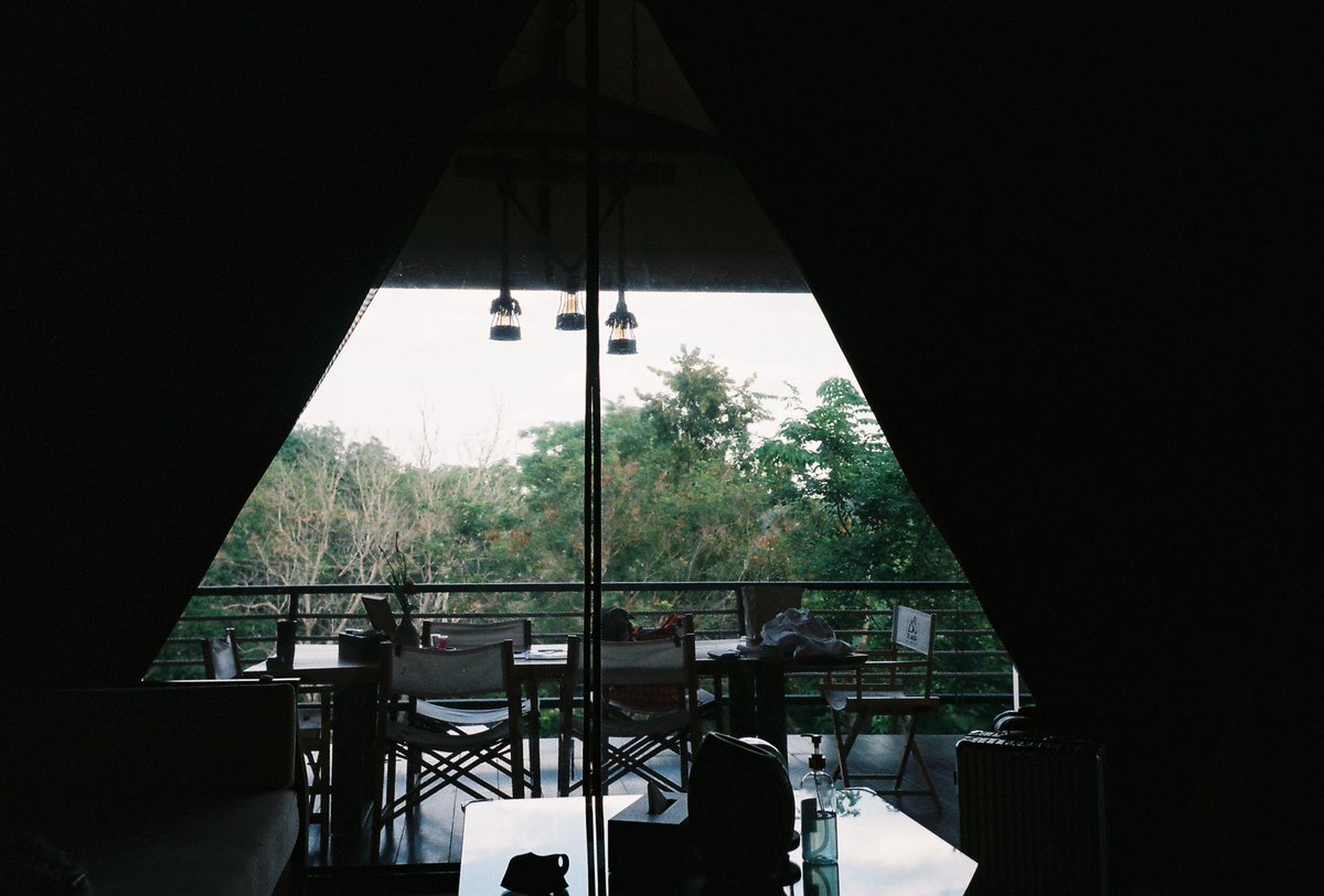 thecaptureth's tweet photo. รูปฟิล์มจากตอนที่ไปเที่ยวเขาใหญ่ 🍃 #film #filmphotography #35mm #FilmTwitter #film #khaoyai #รีวิวเขาใหญ่ #รีวิวที่พัก https://t.co/R7XKwt59eE