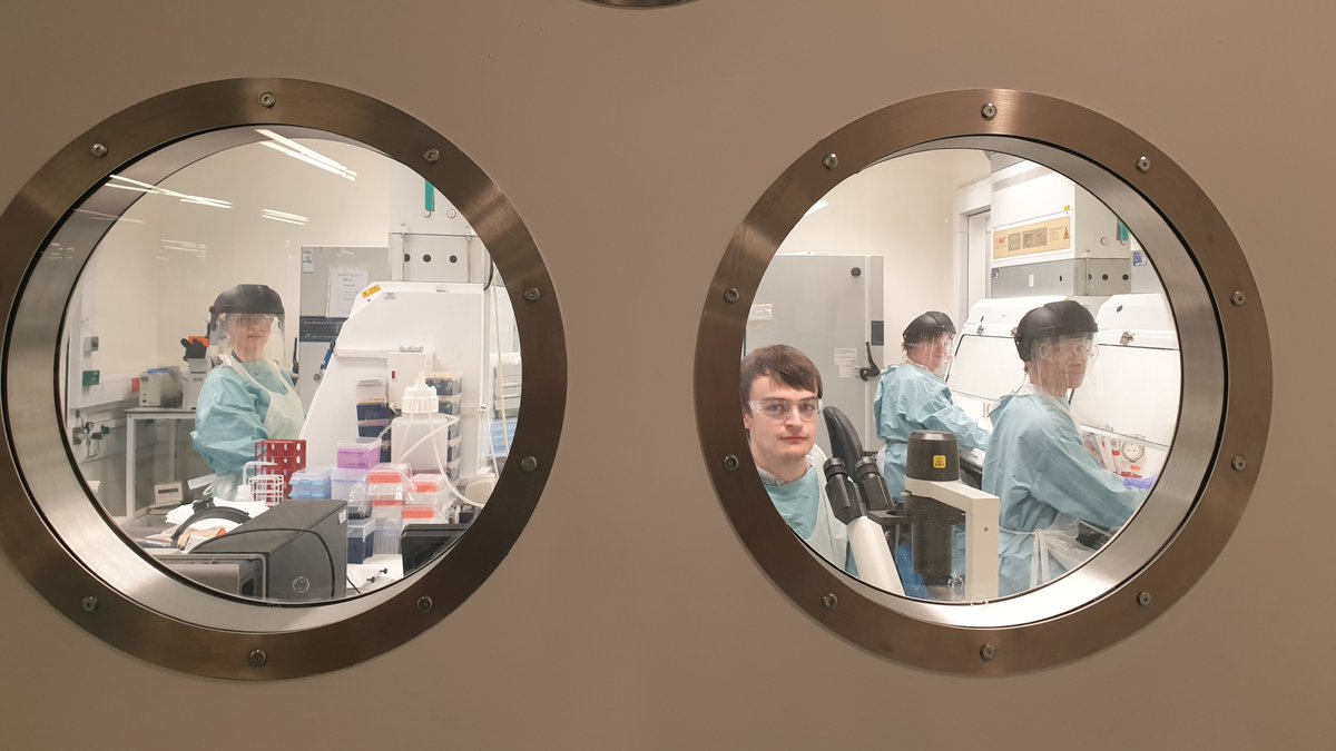 blizard_inst's tweet photo. Early results from research involving the @blizard_inst, @QMUL, @NHSBartsHealth and @ucl suggests that currently the public should not fear contracting #COVIDー19 from hospital staff, who appear to be at low risk of infection by patients: https://t.co/raf5Nu6Mrp https://t.co/dpCspzQQEw