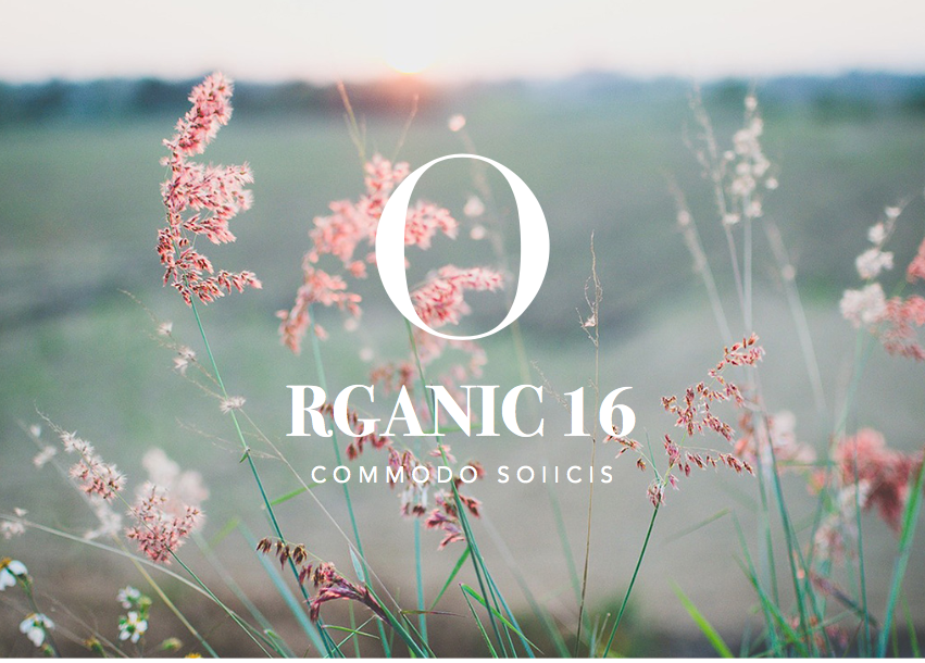 themeinn's tweet image. Flower fields banner design.

#ar #artist #flower #design #graphic #graphicdesign #business #company #photo #photographer #lovemywork #lovework #love #instawork #insta