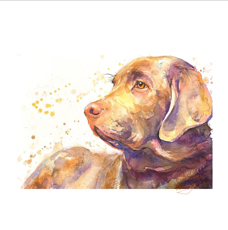 MrLucky_Artwork's tweet photo. Good afternoon everyone, a chocolate labrador.  Friends are in a good mood.

#petart
#animalartist 
#custompetportrait
#natruelover
#dogpainting
#watercolornatrue
#animalart
#Mrluckyartwork
#animalillustraions
#watercolorlove
#watercolorblog
#watercolor_guide
#choclatelab #lab https://t.co/v8QDCdGmdc