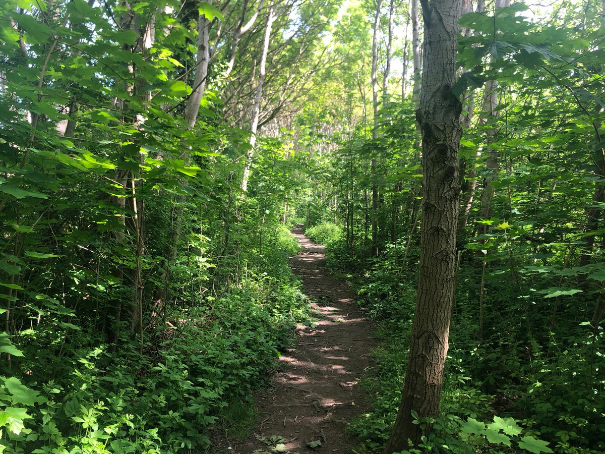 VIMTO 🍷 🍷 🍷 tweet media