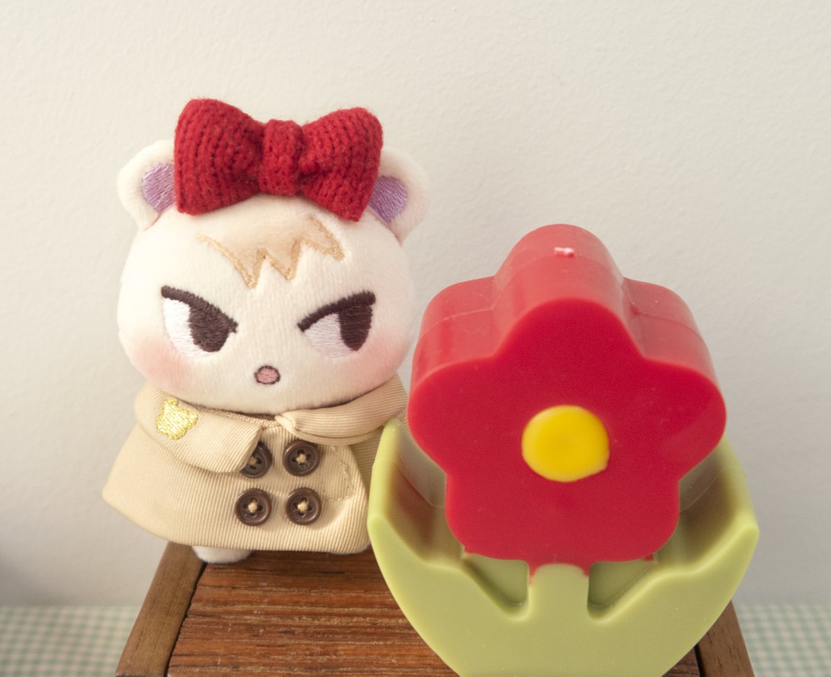 쭈니 옷 입혔어요😅