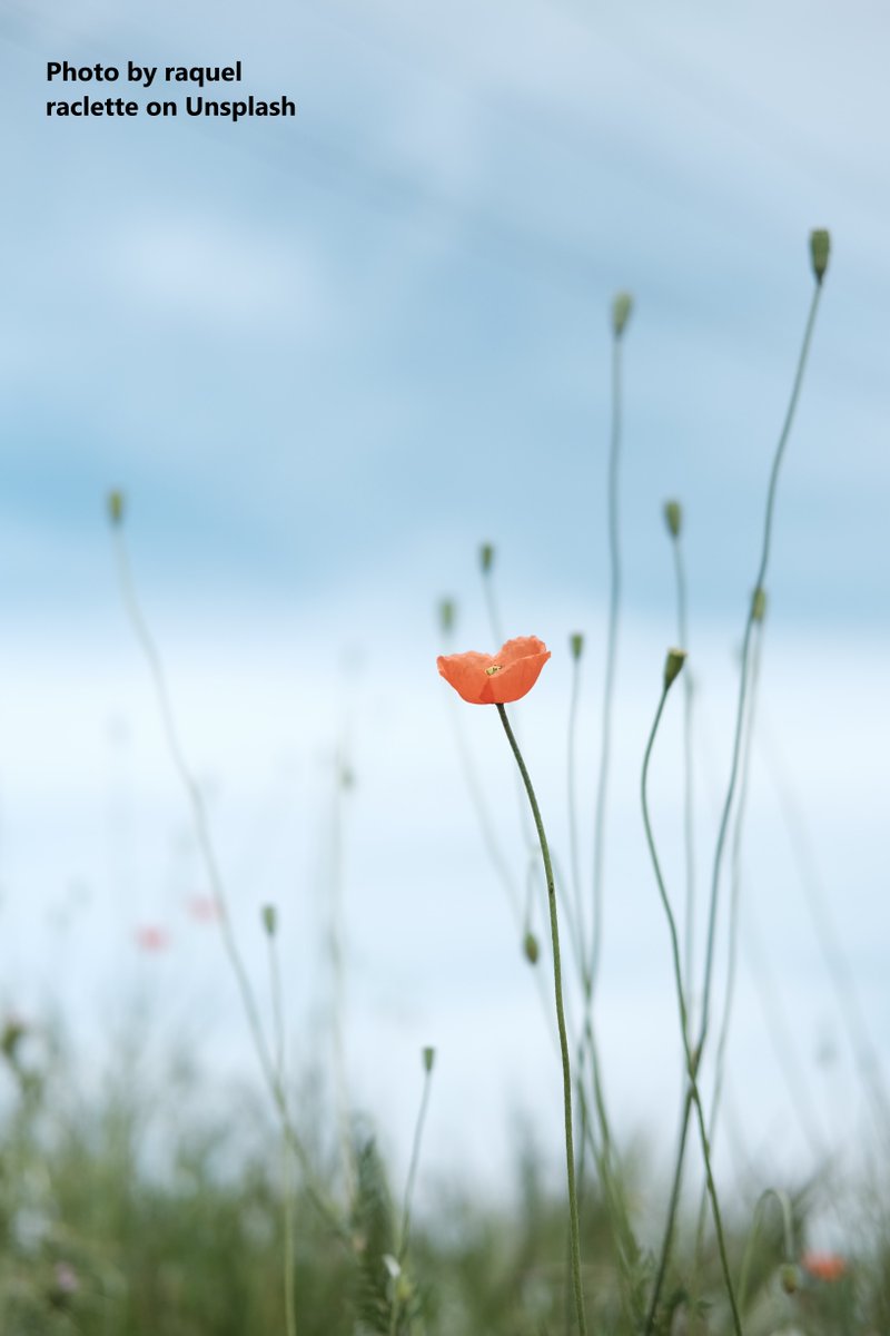 createCN's tweet image. Our #Online w/shops continue this week, kicked off 1-3pm with #hope &amp;amp; #positivity, where we explore the importance of Hope/Positivity in responding to challenges healthily, managing #stress #Wellbeing
&amp;amp; good #mentalhealth
createnetwork.community/online-hp