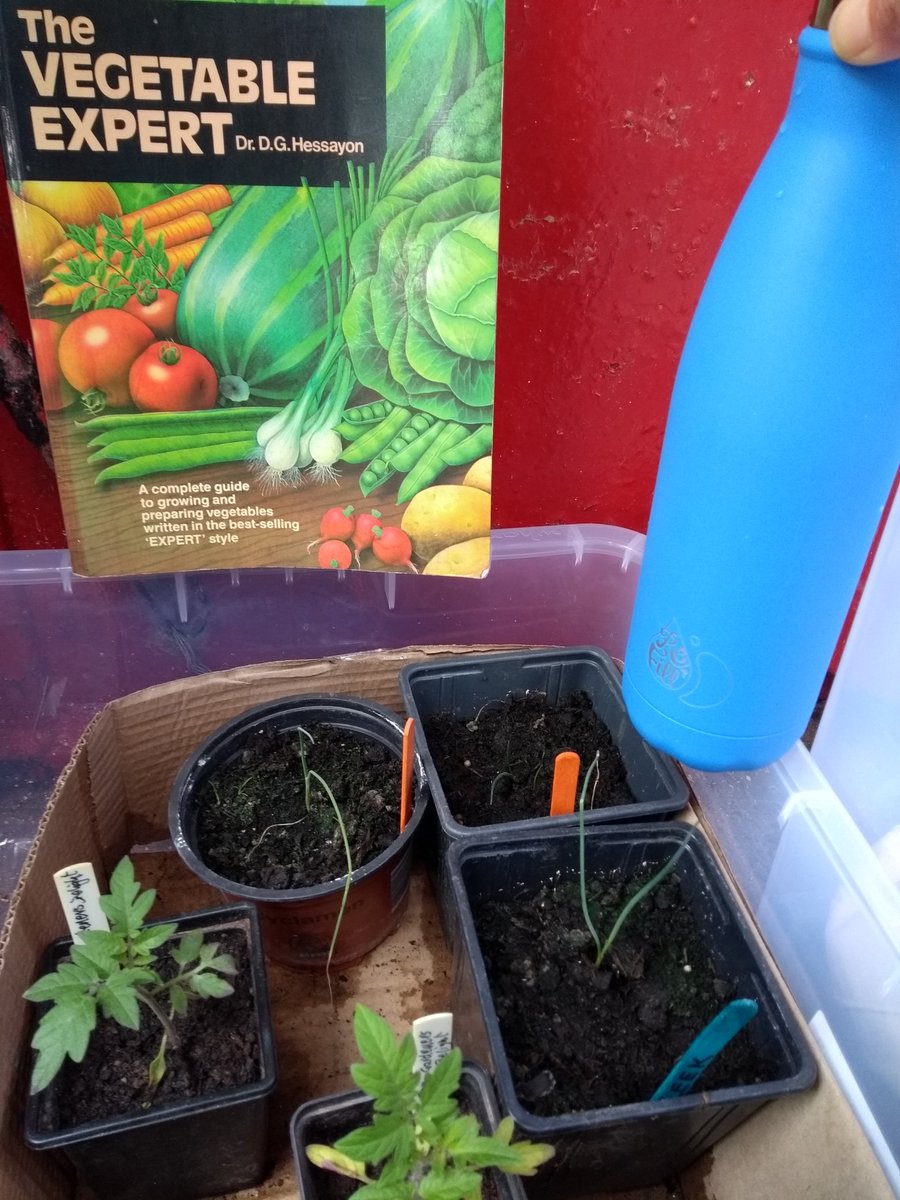 RefillMalton tweet media