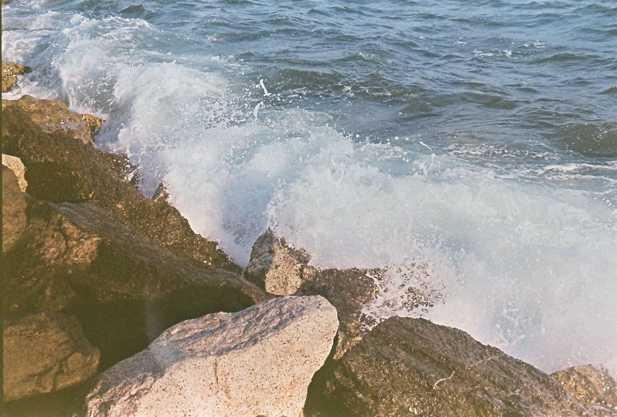 thanksgodfridae's tweet image. i sea you